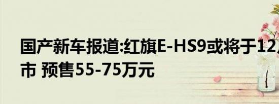 国产新车报道:红旗E-HS9或将于12月4日上市 预售55-75万元