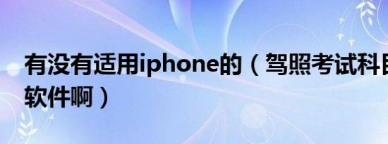 有没有适用iphone的（驾照考试科目三模拟软件啊）