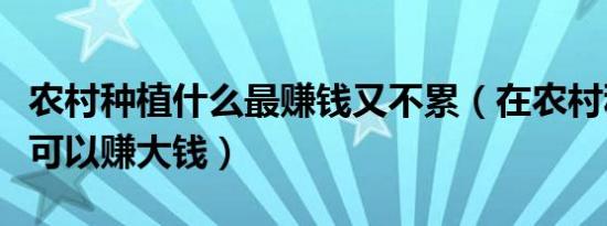 农村种植什么最赚钱又不累（在农村种植什么可以赚大钱）