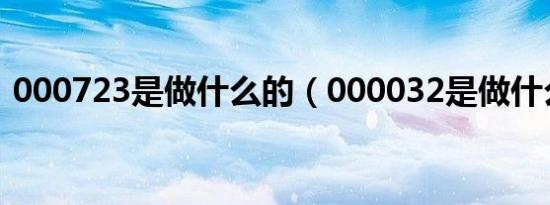 000723是做什么的（000032是做什么的?）