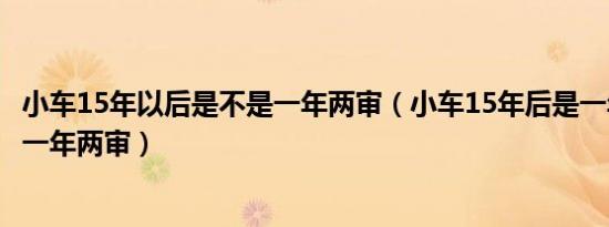 小车15年以后是不是一年两审（小车15年后是一年一审还是一年两审）