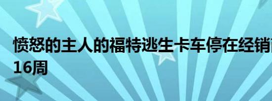 愤怒的主人的福特逃生卡车停在经销商处长达16周