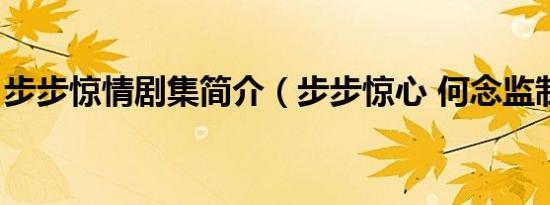 步步惊情剧集简介（步步惊心 何念监制话剧）