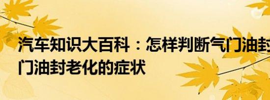 汽车知识大百科：怎样判断气门油封坏了 气门油封老化的症状