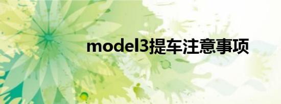 model3提车注意事项