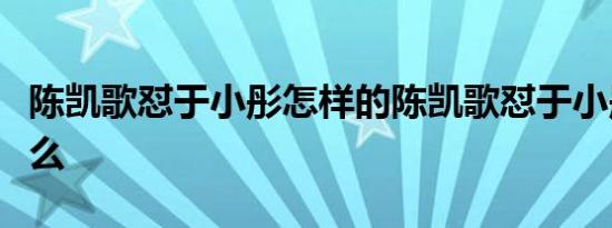 陈凯歌怼于小彤怎样的陈凯歌怼于小彤说了什么