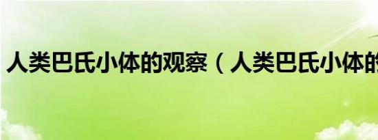 人类巴氏小体的观察（人类巴氏小体的特点）