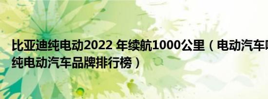 比亚迪纯电动2022 年续航1000公里（电动汽车哪个牌子好纯电动汽车品牌排行榜）