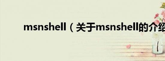 msnshell（关于msnshell的介绍）