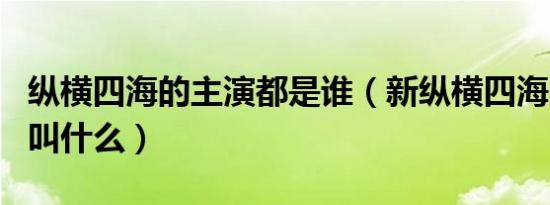 纵横四海的主演都是谁（新纵横四海的男主角叫什么）