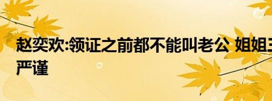 赵奕欢:领证之前都不能叫老公 姐姐三观如此严谨