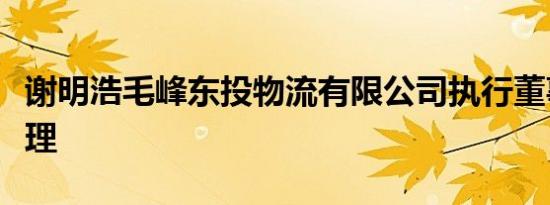 谢明浩毛峰东投物流有限公司执行董事兼总经理