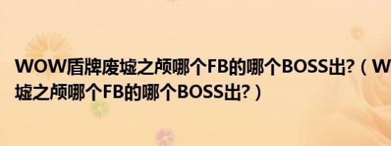 WOW盾牌废墟之颅哪个FB的哪个BOSS出?（WOW盾牌废墟之颅哪个FB的哪个BOSS出?）