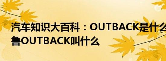 汽车知识大百科：OUTBACK是什么车 斯巴鲁OUTBACK叫什么