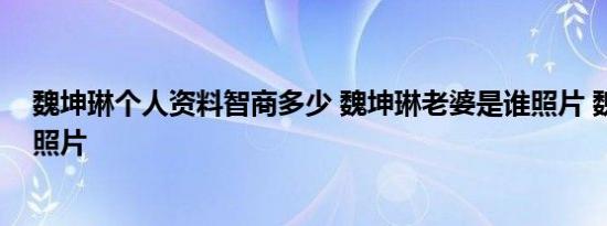 魏坤琳个人资料智商多少 魏坤琳老婆是谁照片 魏坤琳女儿照片