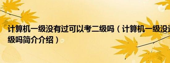 计算机一级没有过可以考二级吗（计算机一级没过可以考二级吗简介介绍）