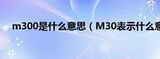 m300是什么意思（M30表示什么意思）