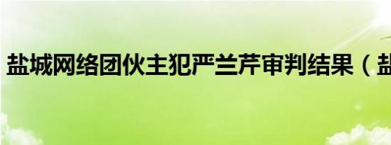 盐城网络团伙主犯严兰芹审判结果（盐城网）