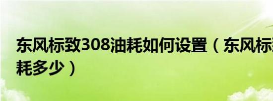 东风标致308油耗如何设置（东风标致308油耗多少）