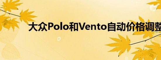 大众Polo和Vento自动价格调整