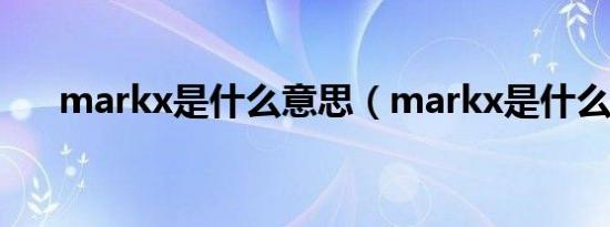 markx是什么意思（markx是什么车）