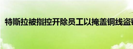 特斯拉被指控开除员工以掩盖铜线盗窃行为