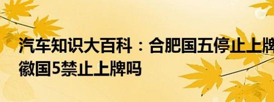 汽车知识大百科：合肥国五停止上牌时间 安徽国5禁止上牌吗