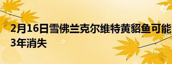 2月16日雪佛兰克尔维特黄貂鱼可能会在2023年消失