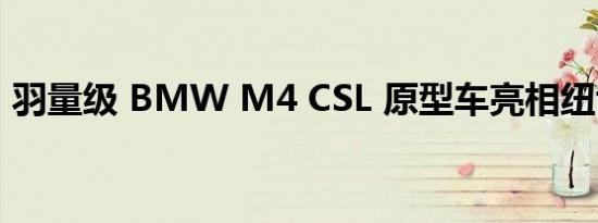 羽量级 BMW M4 CSL 原型车亮相纽博格林