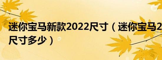 迷你宝马新款2022尺寸（迷你宝马2019新款尺寸多少）