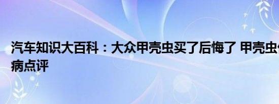 汽车知识大百科：大众甲壳虫买了后悔了 甲壳虫优缺点和通病点评