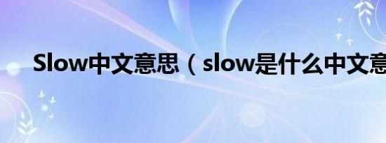 Slow中文意思（slow是什么中文意思）