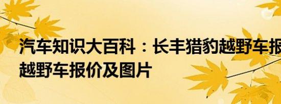 汽车知识大百科：长丰猎豹越野车报价 猎豹越野车报价及图片