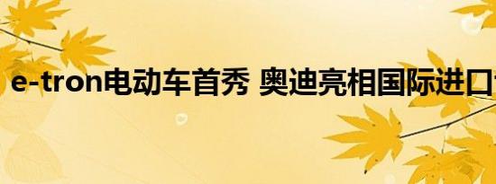 e-tron电动车首秀 奥迪亮相国际进口博览会