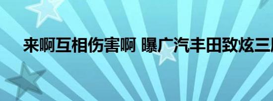 来啊互相伤害啊 曝广汽丰田致炫三厢版