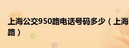 上海公交950路电话号码多少（上海公交958路）