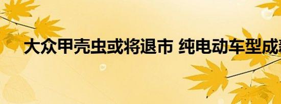 大众甲壳虫或将退市 纯电动车型成新宠