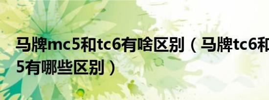 马牌mc5和tc6有啥区别（马牌tc6和马牌mc5有哪些区别）