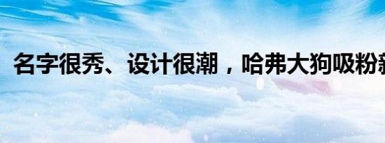 名字很秀、设计很潮，哈弗大狗吸粉新生代