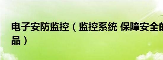 电子安防监控（监控系统 保障安全的电子产品）