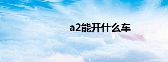 a2能开什么车