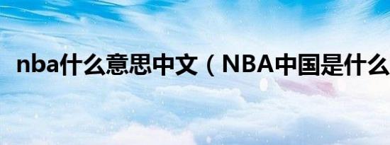 nba什么意思中文（NBA中国是什么意思）