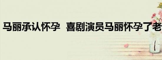 马丽承认怀孕  喜剧演员马丽怀孕了老公是谁