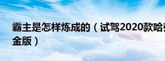 霸主是怎样炼成的（试驾2020款哈弗H6 铂金版）