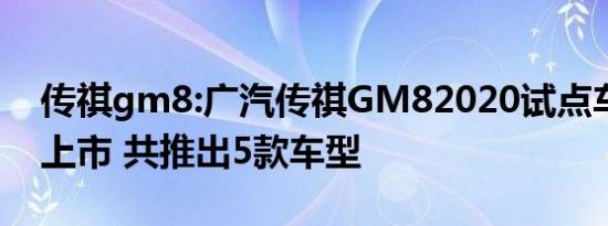 传祺gm8:广汽传祺GM82020试点车型正式上市 共推出5款车型