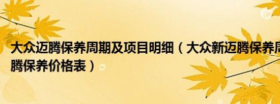 大众迈腾保养周期及项目明细（大众新迈腾保养周期表 新迈腾保养价格表）