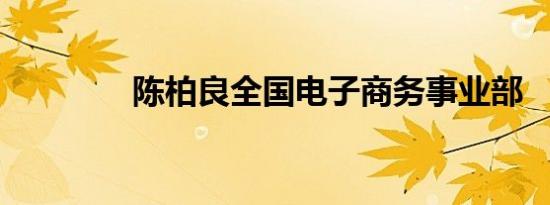 陈柏良全国电子商务事业部