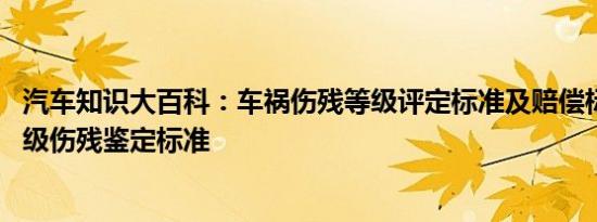 汽车知识大百科：车祸伤残等级评定标准及赔偿标准 车祸十级伤残鉴定标准