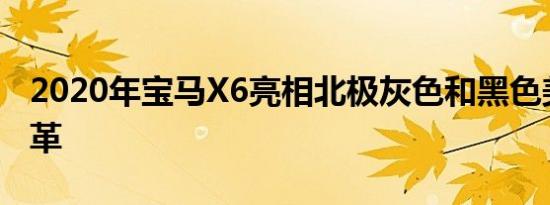 2020年宝马X6亮相北极灰色和黑色美利奴皮革