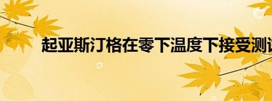 起亚斯汀格在零下温度下接受测试